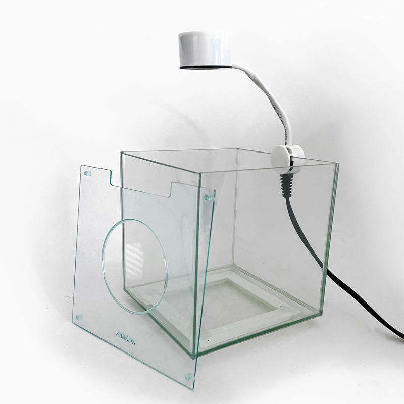 Cubus Terrarium Kit with Light