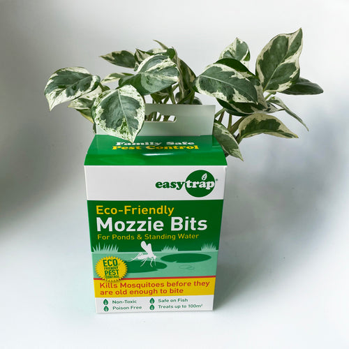 Front of pack of Mozzie Bits Mosquito Bits BTI for Fungus Gnats