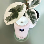 H2O Cordless Humidifier 500ml - Snow