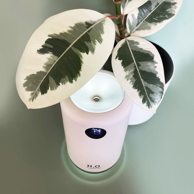 H2O Cordless Humidifier 500ml - Snow