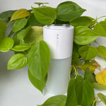 H2O Cordless Humidifier 400ml - Crystal