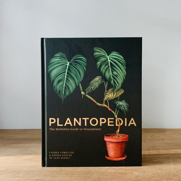 house plants book pdf Book