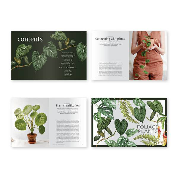 foliage house plants book Book
