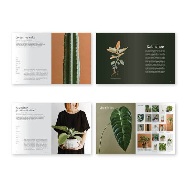 Book - Plantopedia: The Definitive Guide to Houseplants