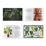 Book - Plantopedia: The Definitive Guide to Houseplants