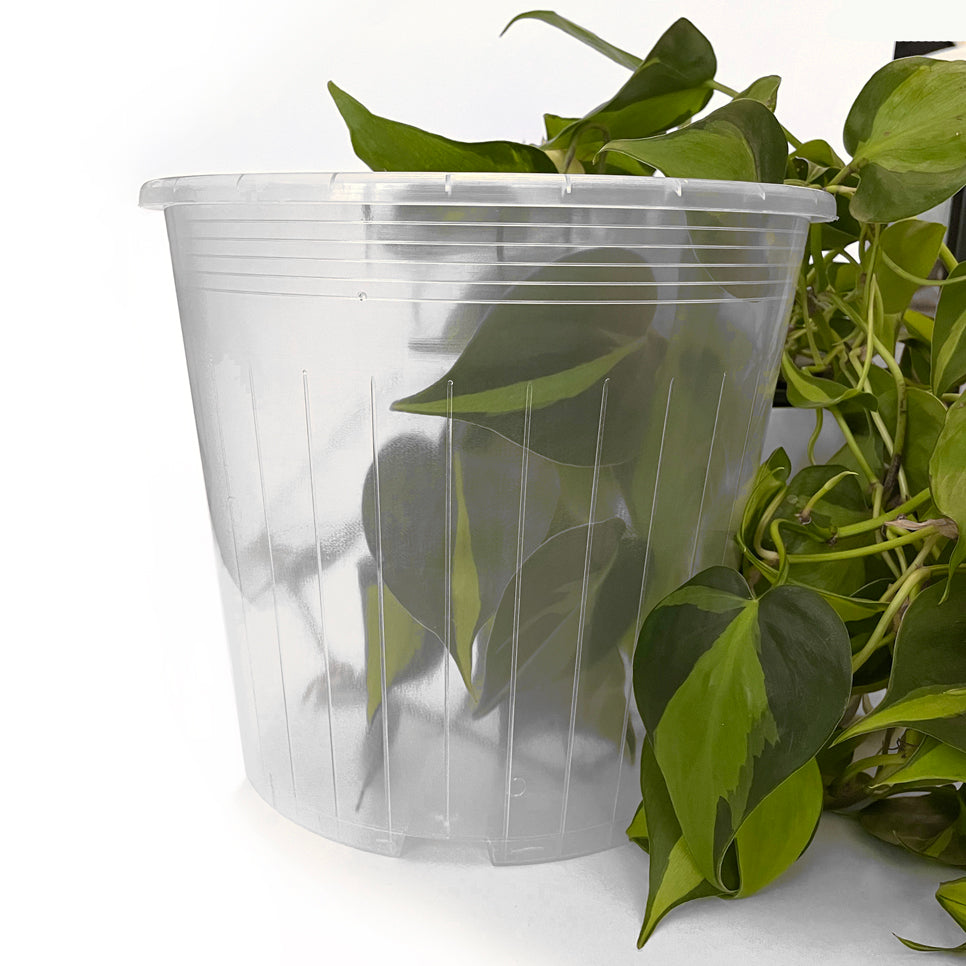 large plastic plant pots nz Rain 20 Clear Nursery Pot