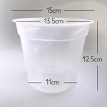 measurements of the teku clear pot 15cm