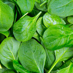 Baby Leaf Spinach - Seeds