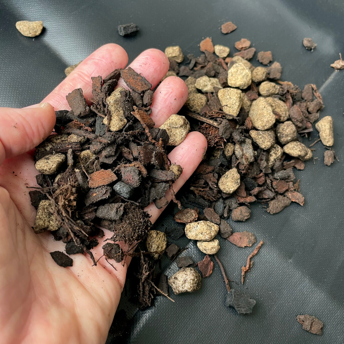 Bio Leaf AROID & HOYA Potting Mix - Medium / Chunky - 5 litre