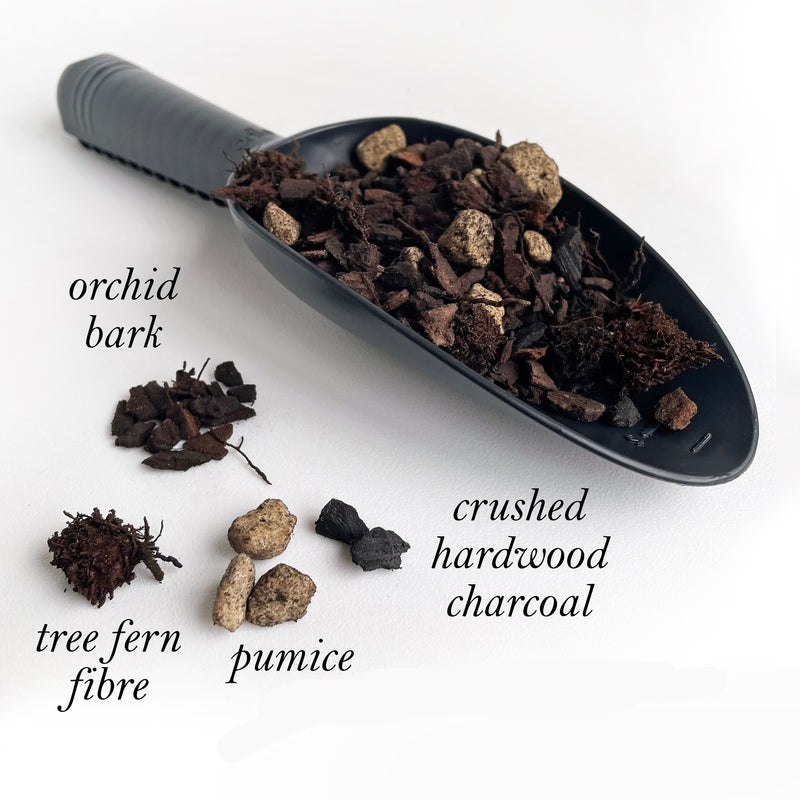 Bio Leaf Aroid & Hoya Potting Mix - MEDIUM / CHUNKY Custom Blend - 10 litre