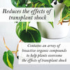 Bio Leaf Indoor Plant Potting Mix - FINE / MEDIUM Custom Blend - 2 litre