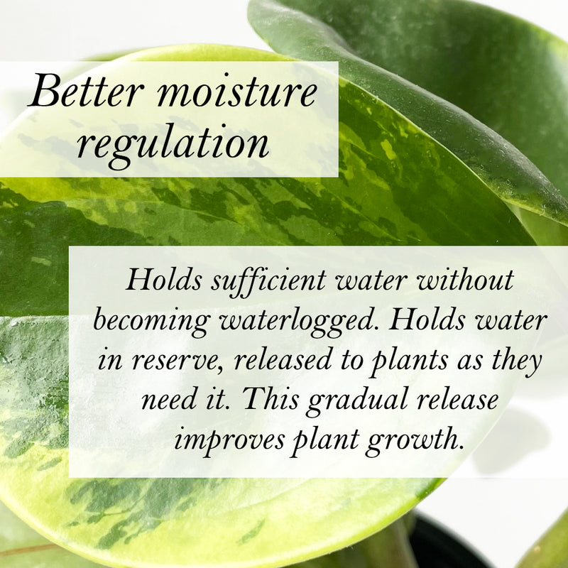 Bio Leaf Indoor Plant Potting Mix - FINE / MEDIUM Custom Blend - 2 litre