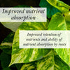 Bio Leaf Indoor Plant Potting Mix - FINE / MEDIUM Custom Blend - 2 litre