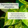 Bio Leaf Indoor Plant Potting Mix - FINE / MEDIUM - 2 litre