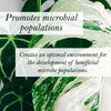 Bio Leaf Indoor Plant Potting Mix - FINE / MEDIUM Custom Blend - 2 litre