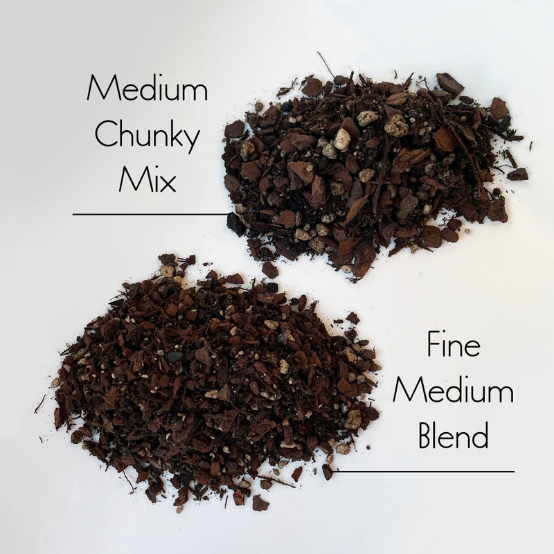 Bio Leaf Aroid & Hoya Potting Mix - MEDIUM / CHUNKY - 2 litre
