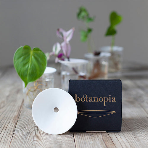 Botanopia Propagation & Germination Plate
