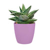 Cover Pot - Elho Brussels Round Mini - 12.5cm Lavender