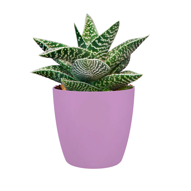 Cover Pot - Elho Brussels Round Mini - 12.5cm Lavender