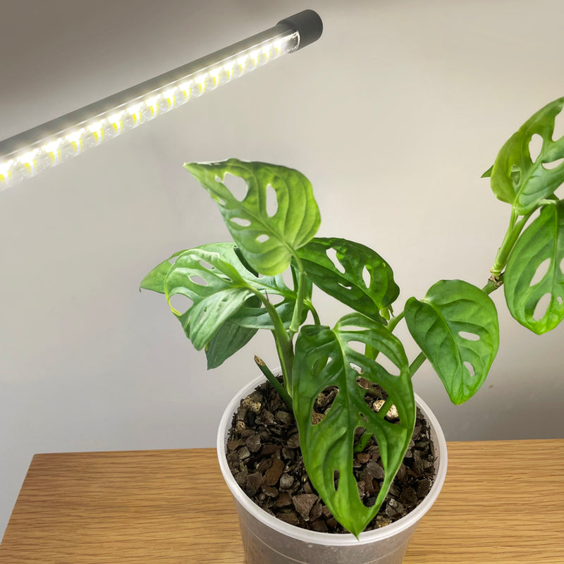 led grow light kit with clip