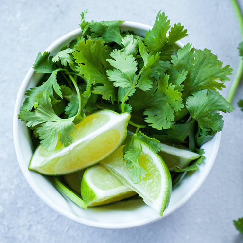 Coriander (Cilantro) - Seeds