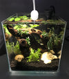 Cubus Terrarium Kit with Light