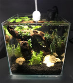 Cubus Terrarium Kit with Light