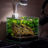 Cubus Terrarium Kit with Light