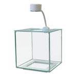 Cubus Terrarium Kit with Light
