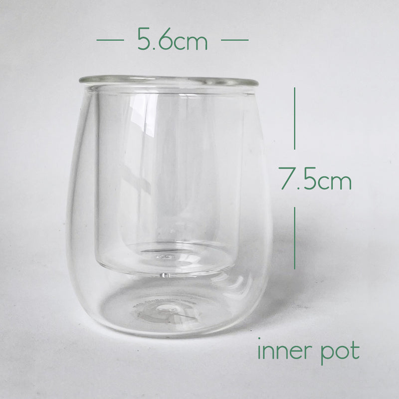 CUP O FLORA Glass Self Watering Pot - MINI