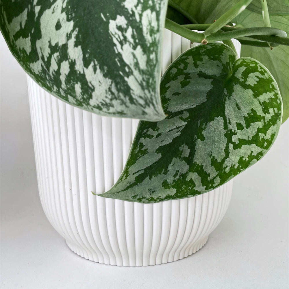 Cover Pot - Elho Vibes - 14cm Eggshell White