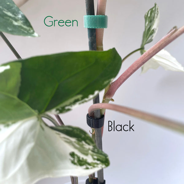 Plant Velcro - 1.5cm wide x 5 to 10 metre roll - GREEN – lovethatleaf