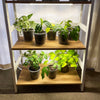 Grow Bar - Grow Light Starter Kit