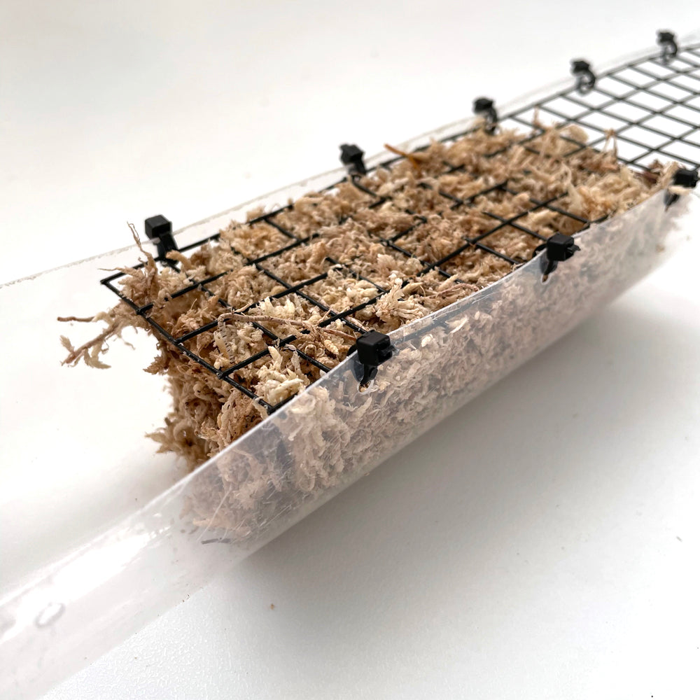 Grow Vertical Propstick - 33cms MINI CLEAR