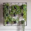 Crew Hanging Pot Clips [turns plant pots into hanging pots] from $1.40 each