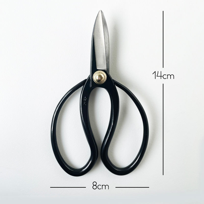 Hidehisa Black Indoor Plant Shears size