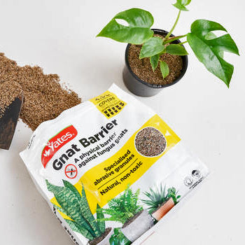 gnat barrier for indoor plants Yates Gnat Barrier for Fungus Gnats – lovethatleaf