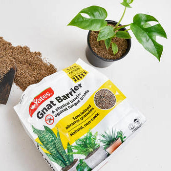 Yates Gnat Barrier for Fungus Gnats