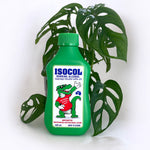 Isocol Rubbing Alcohol for Mealybugs, Aphids, Spider Mites & Scale