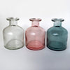 Love That Leaf Propagation Vase - Pink Lemonade - WIDE