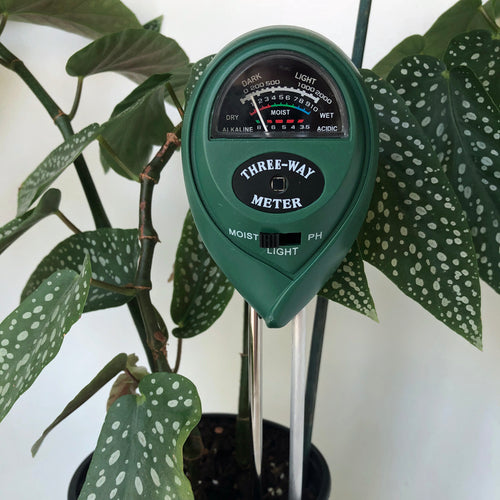 Plant Thermometer <3