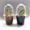 Crew Mini Propagation Kit - from $2 each