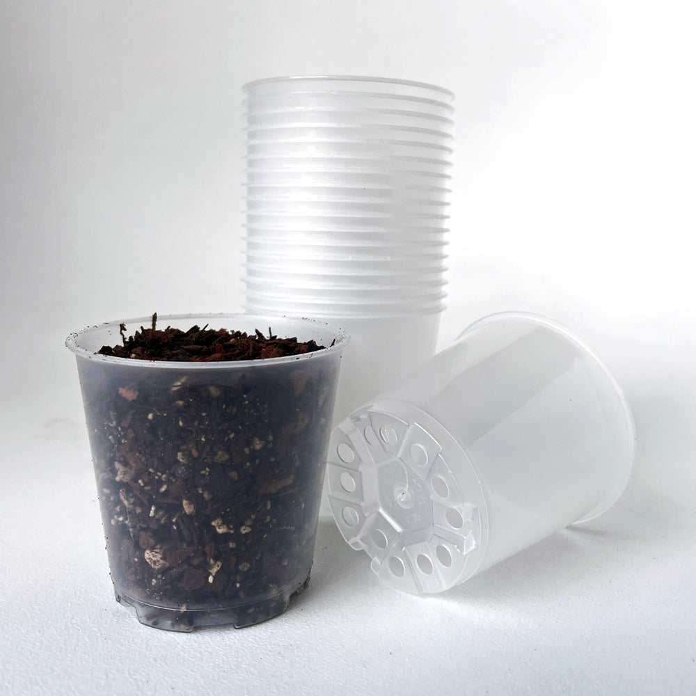 teku plastic plant pots TEKU MINI Clear Nursery Pot - 5.5cm x 5.5cm