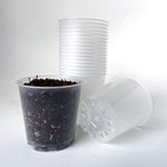 TEKU MINI Clear Nursery Pot - 5.5cm x 5.5cm - from 85c each