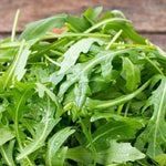 ORGANIC Rocket Salad Leaves - Seeds