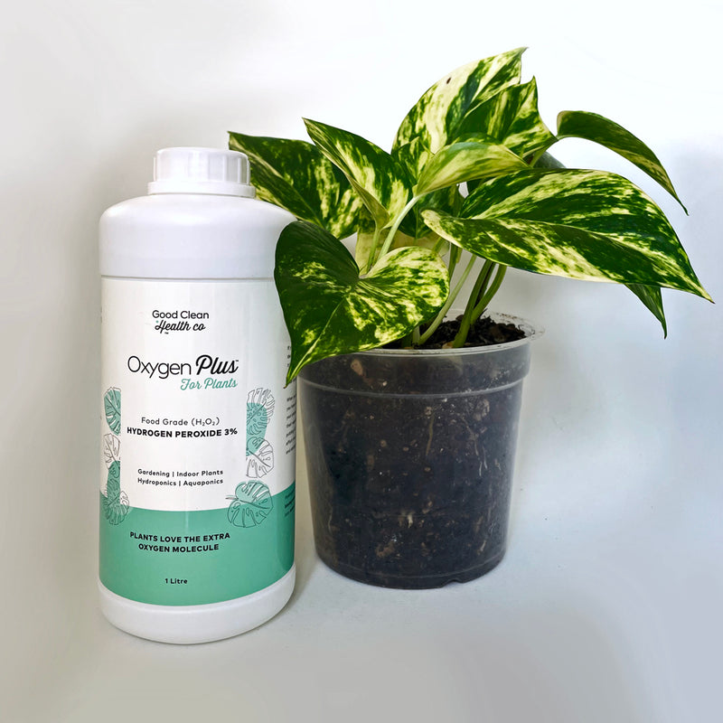Oxygen Plus For Plants - Hydrogen Peroxide 3% - 1 Litre