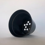 Crew Mini Propagation Pot - 5.5cm x 6.5cm ROUND - BLACK