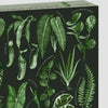 Close up of plants on Leaf Supply House Plants Puzzle