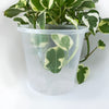 Rain 14 Clear Nursery Pot - 14cm x 12.5cm - from 90c each