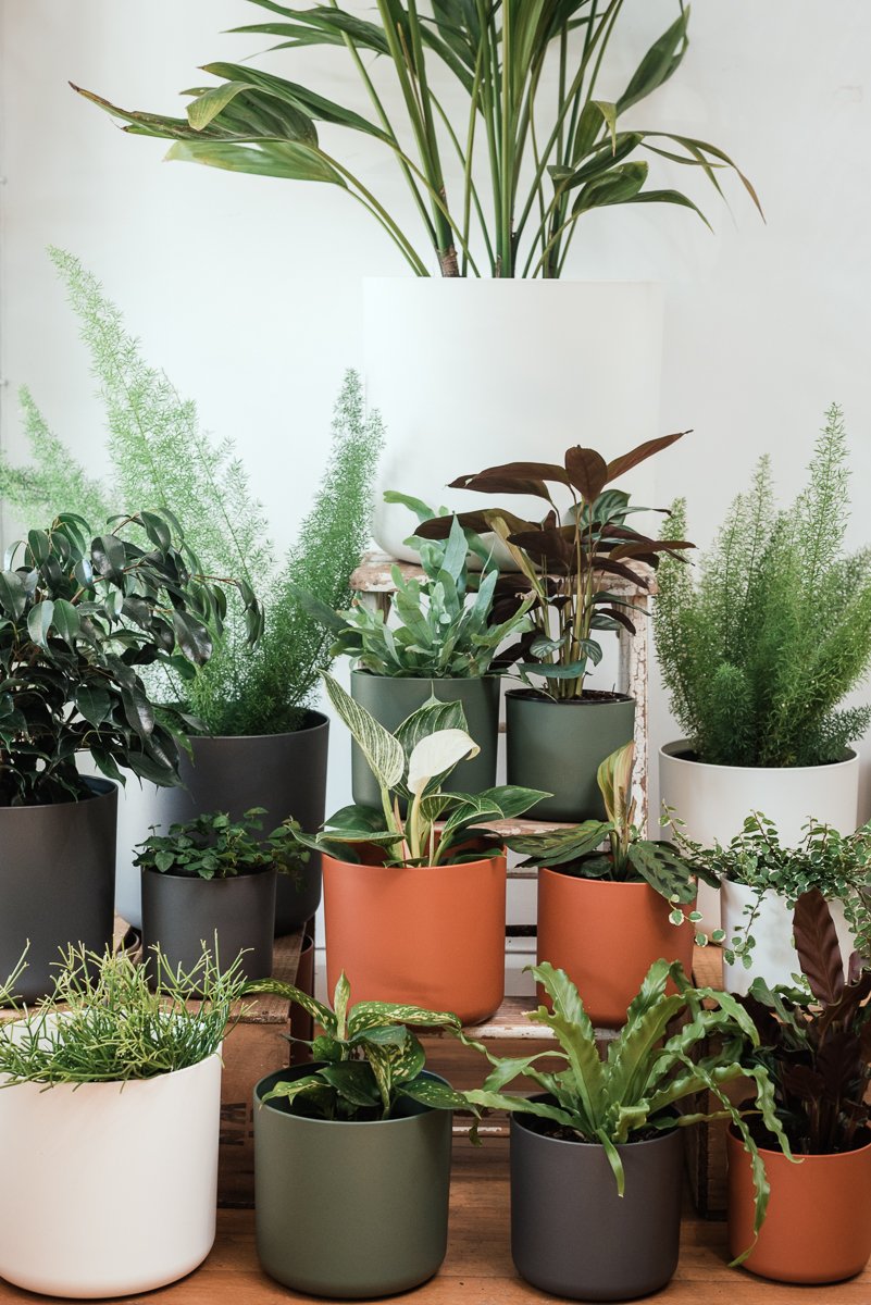 Cover Pot - Elho B.For Soft - 16cm Leaf